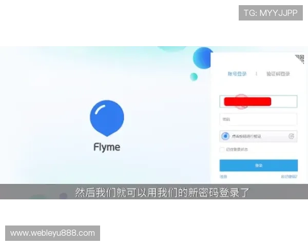 乐鱼登录平台密码重置步骤详解，确保账户安全无忧